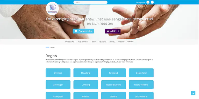 Projectbeeld van Hersenletsel